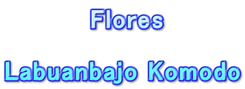          Flores  Labuanbajo Komodo